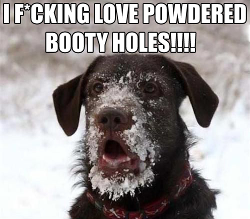 File:Powdered booty holes dog.jpg