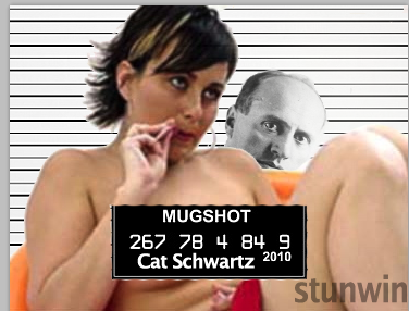 File:Stunwin cat schwartz.png