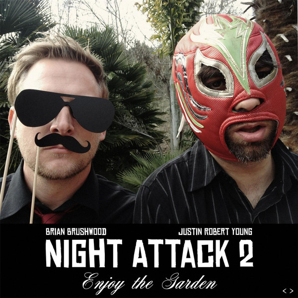 Night-Attack-2-Front-Cover.jpg