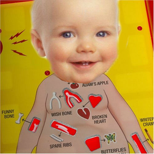 File:Baby organs.jpg